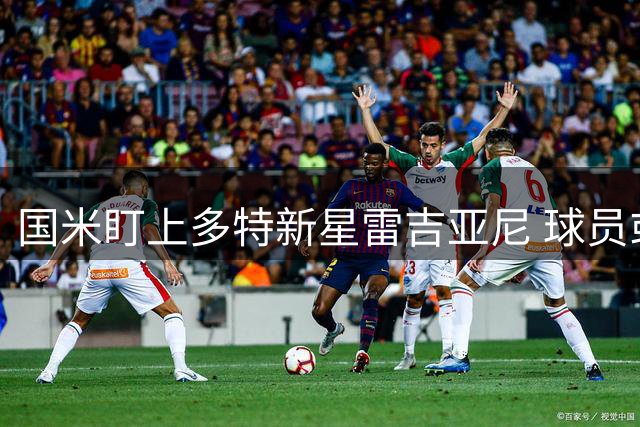 国米盯上多特新星雷吉亚尼 球员或考虑回归意甲