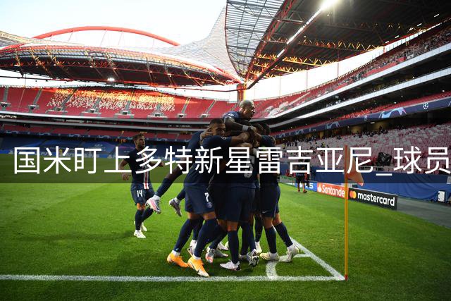 国米盯上多特新星雷吉亚尼 球员或考虑回归意甲