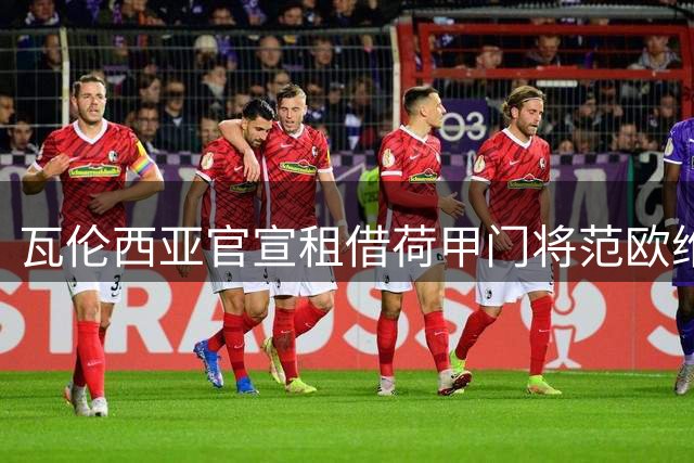 瓦伦西亚官宣租借荷甲门将范欧维伦